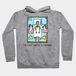 Ma culc odata cu gainile Hoodie